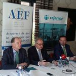 AEF La Franquicia en España 2017