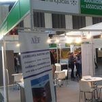 AEF Bizfranquicias