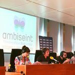 franquicia Ambiseint