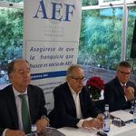 AEF Observatorio Jurisprudencia Franquicias España