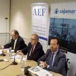 AEF La Franquicia en España 2018