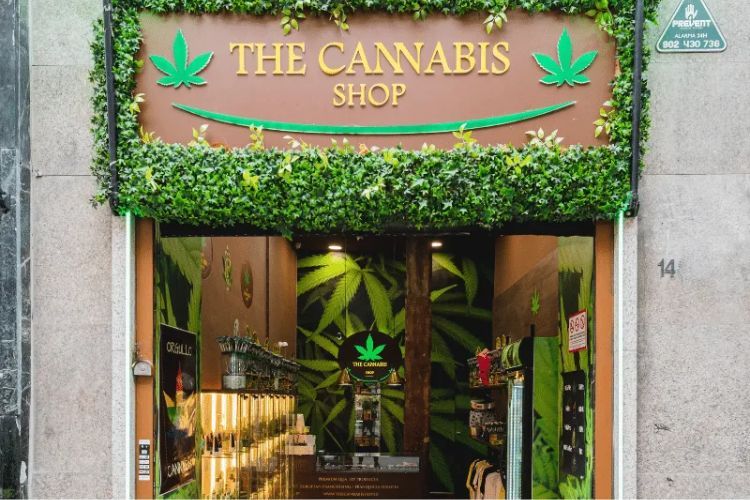 The-Cannabis-Shop-franquicia-de-canamo-y-CBD